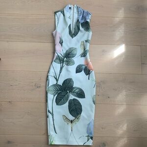 Ted Baker Dress with gold zipper